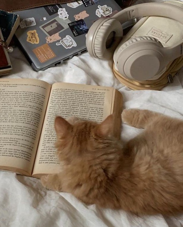 corvinacruel's tweet image. ⁤                         ⁤         ⁤      ⁤      ⁤       ⁤        ⁤⁤         ⁤      ⁤⁤                         ⁤         ⁤      ⁤      ⁤       ⁤        ⁤⁤         ⁤      ⁤
                ☄︎ . 🍄 ❁  𝗹ivros dᧉ 𝟸𝟶𝟸𝟼  ╰╮ ♡