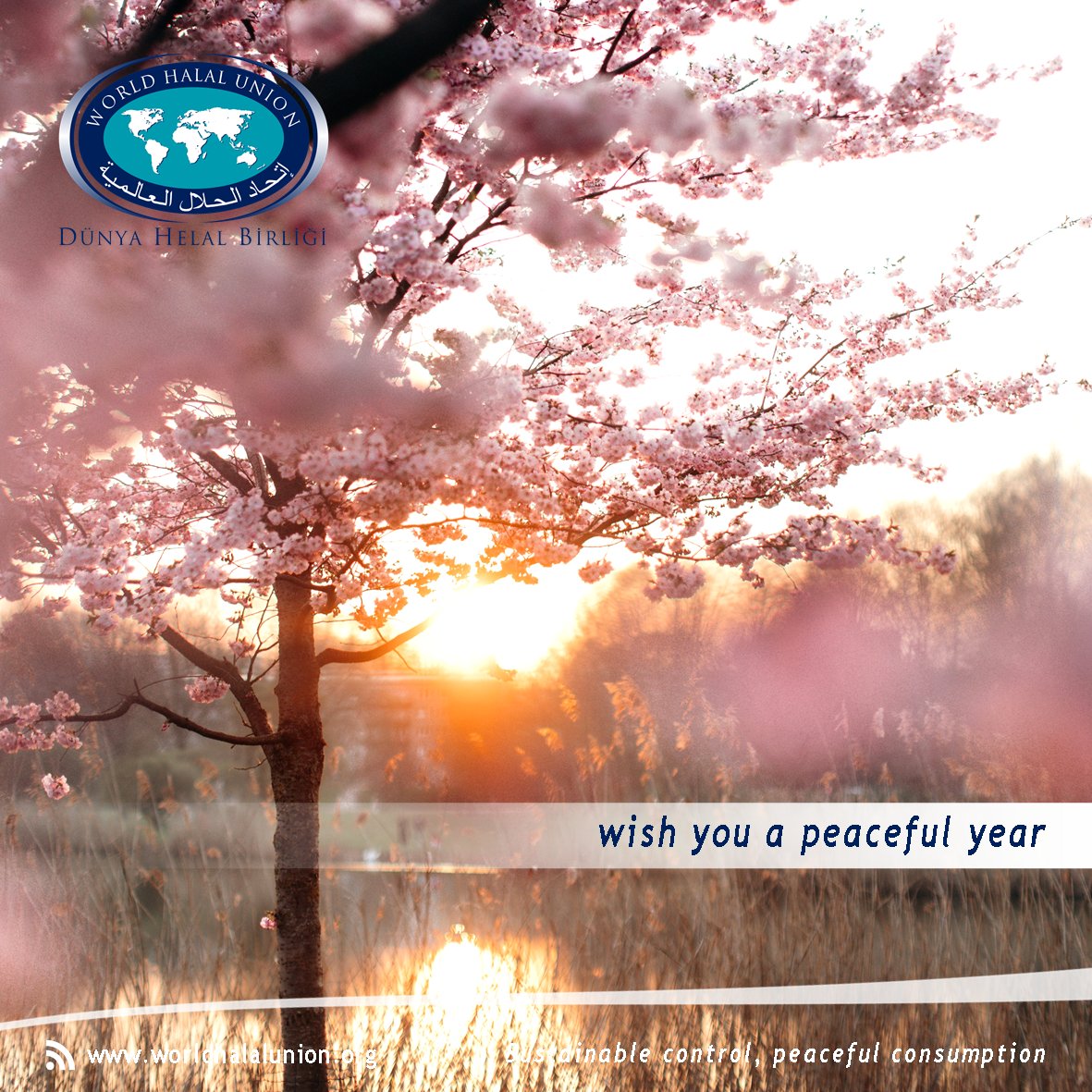 From east to west, from north to south, we hope for a year in which massacres end and peace and the rule of law prevail

#WorldHalalUnion #DünyaHelalBirliği #Halal #UNHRW #ceasefirenow #Gaza #genocide #Wck #OpenArms #Unicef #Amnesty #Msf #Fcnl #Artists4Ceasefire #NewYear