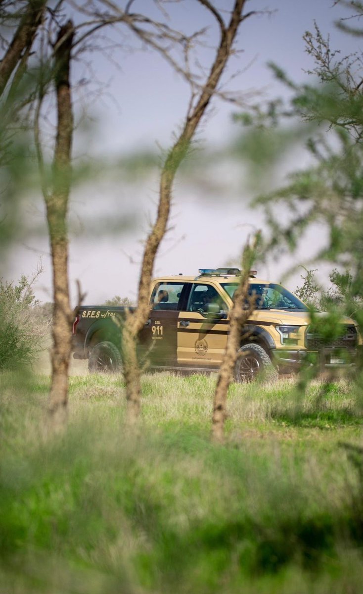 اهتمام المملكة بالبيئة… نهج وطني مستدام

alriyadh.com/2168130
#جريدة_الرياض