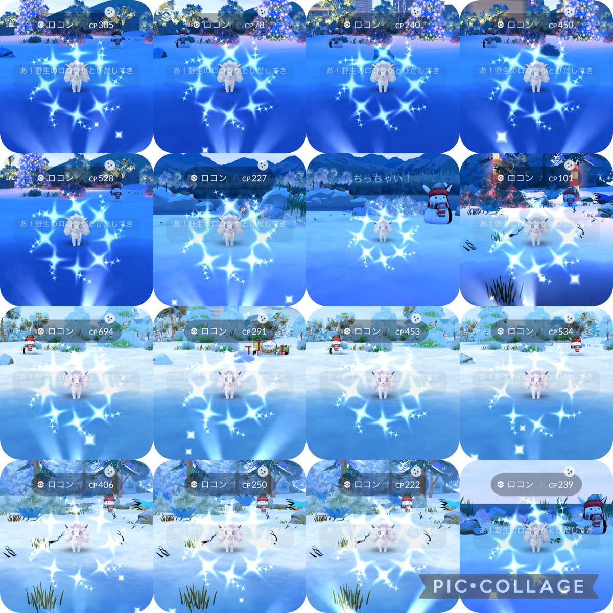 あらあら@低浮上 tweet media