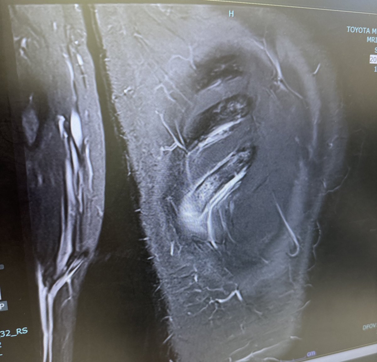 Rika Kihira 紀平梨花 tweet media