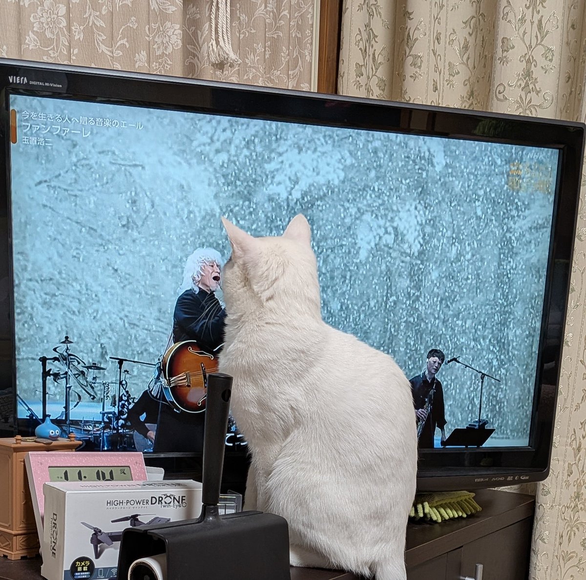 はち、玉置浩二のファンだったのか...