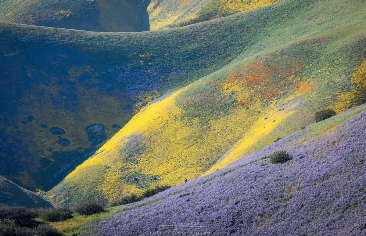 seraphicxc's tweet image. 