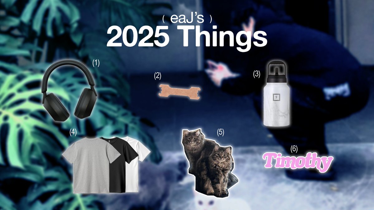 eaJ's 2025 wrapped.ᐟ