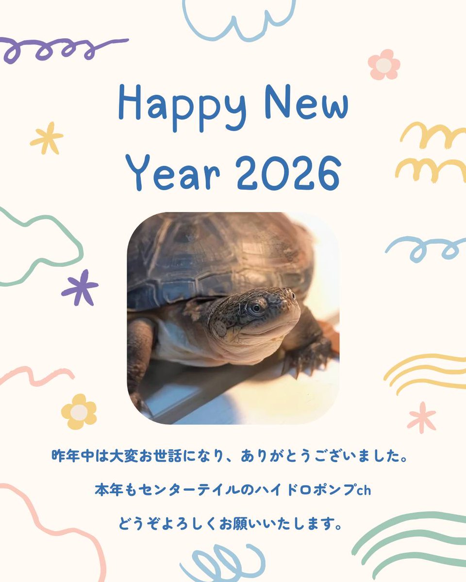 新品　亀の陸地【大】白フレーム×ベージュ板　センターテイルファクトリー 新品 亀の陸地【大】白フレーム×ベージュ板 センターテイル