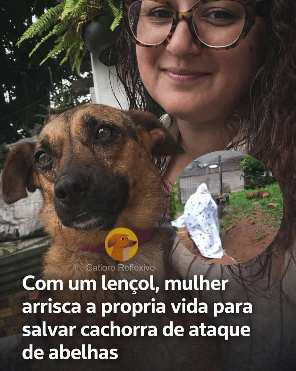 O ataque aconteceu de forma repentina no pátio da residência, pegando a família de surpresa e colocando a vida do animal em risco imediato.

facebook.com/photo?fbid=128…