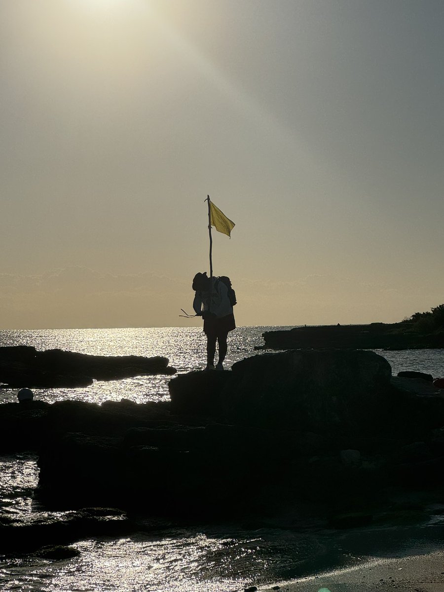 David Horrocks tweet media