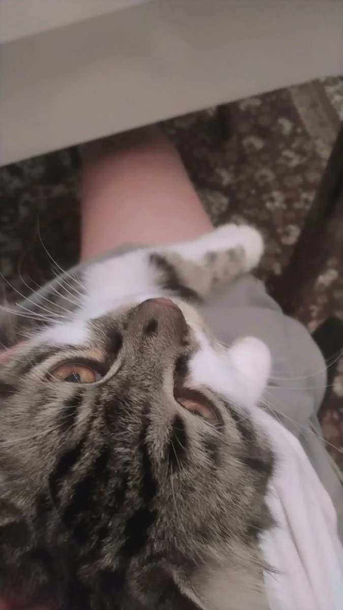 mx_mab's tweet image. لوز تعبان...🥺 

لو تشوفوه ادعوا له💗🙏🏻