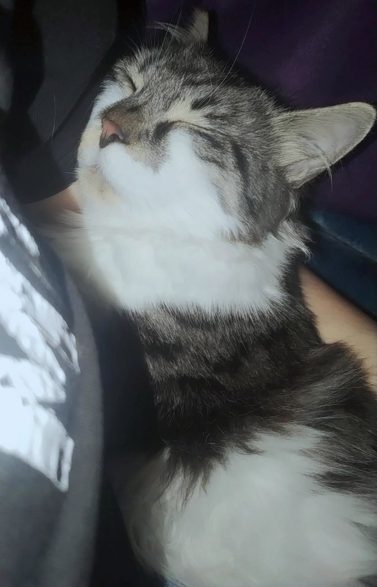 mx_mab's tweet image. لوز تعبان...🥺 

لو تشوفوه ادعوا له💗🙏🏻