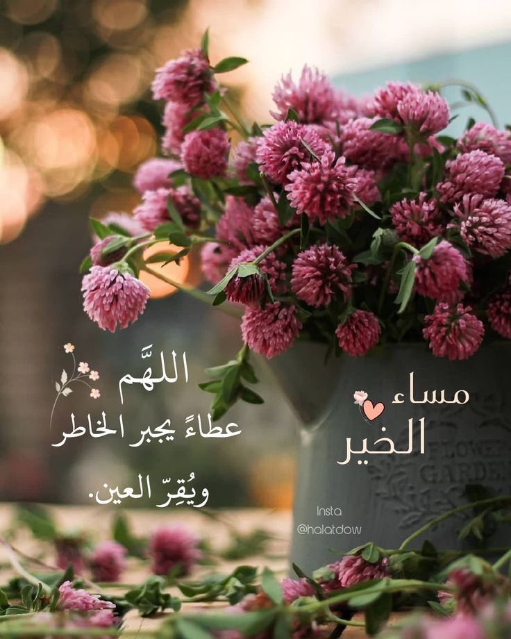 الرُمَيْصَاء✨ tweet media