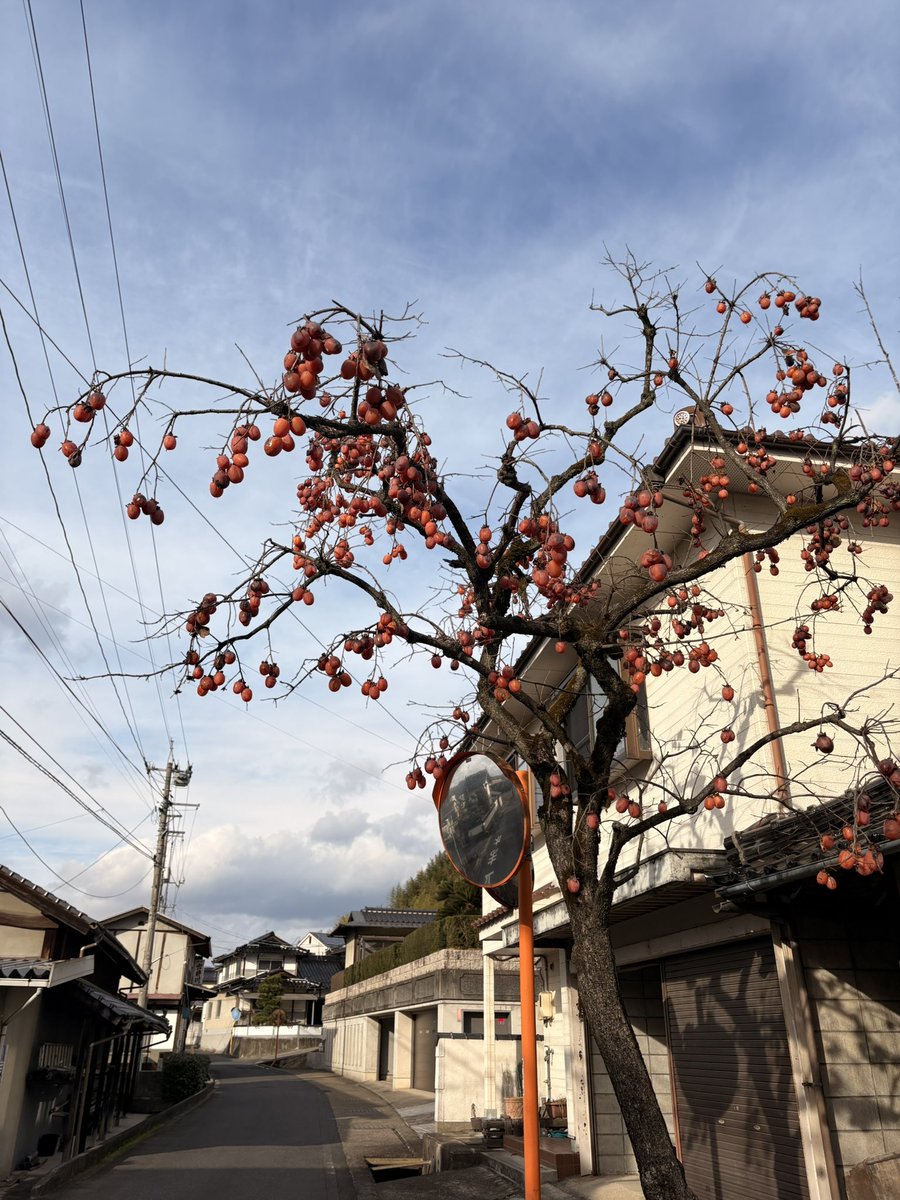 あー、今年も終わりですな。
今年も大変お世話になりました。
来年も大変お世話になると思います。

また来年！良いお年を🎍