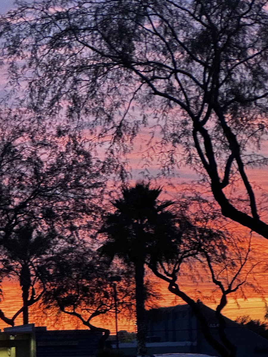 ShonaCleary's tweet photo. No filter 🌄 https://t.co/jUcp5zamKm