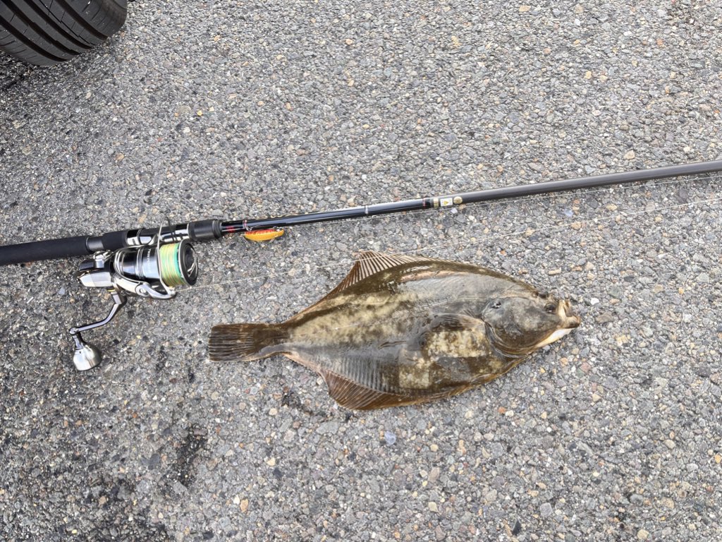 tomohito5018's tweet photo. #今年のベスト釣果を4枚で振り返る
遠州オオニベ105cm
ムコイチサワラ
琵琶マス
イシガレイ
今年は色んな魚種に出会えたね〜
琵琶マスジギングのコツ掴んで覚醒出来たのは嬉しい☺️
けど!!またもやオオニベ130cmチャレンジ失敗...
来年に続く... https://t.co/ziNHHa0Azw