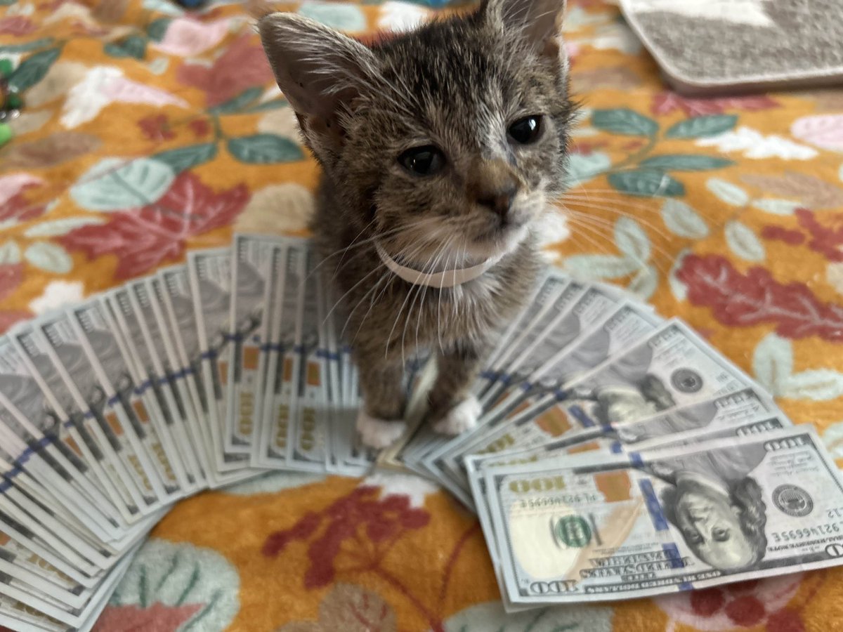 KarkelKane's tweet photo. She acting like she owns it https://t.co/lrDH2wzslr