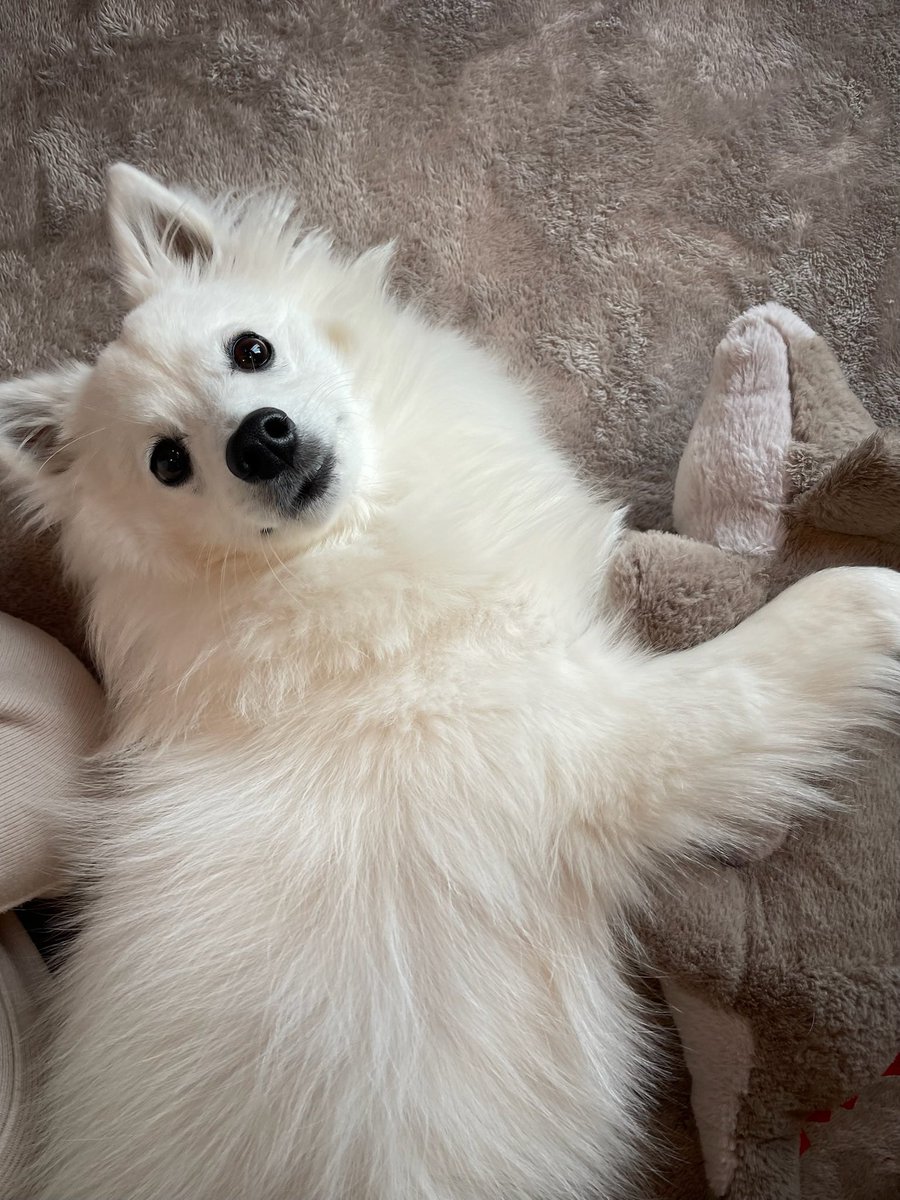 長崎慎(ながさきまこと) tweet media