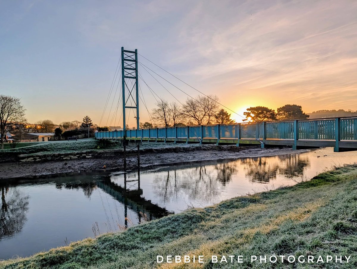 Debbie Bate tweet media