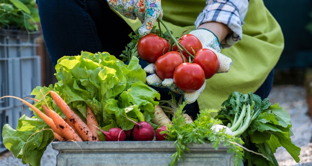 PNS_News's tweet image. 2025 ends with a tough stat: only ~50% of U.S. farmers are expected to turn a profit amid rising input costs + trade tariffs. A new report points to a reliable path: organic farming: buff.ly/nIepOx6

#OrganicFarming #AgEconomy #SustainableAg