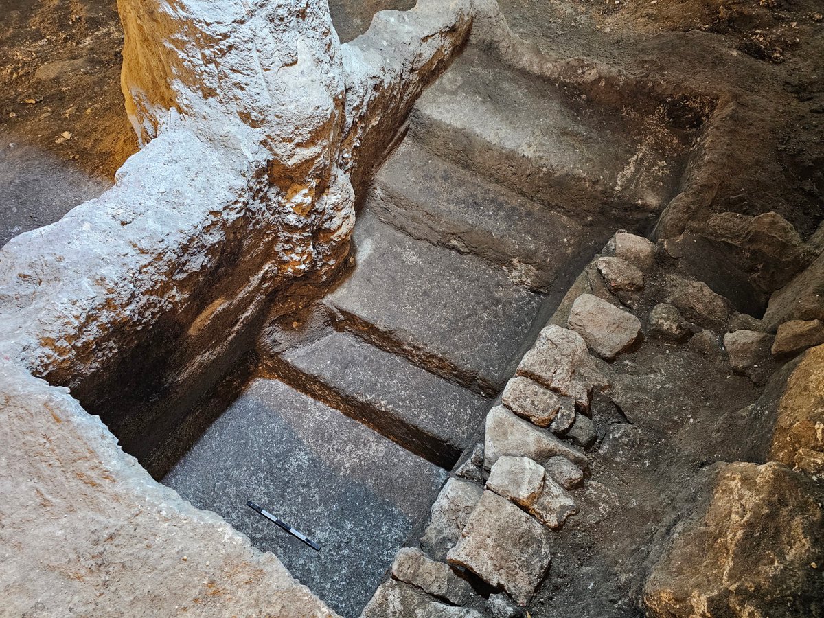 Francesco Giosuè Voltaggio tweet media