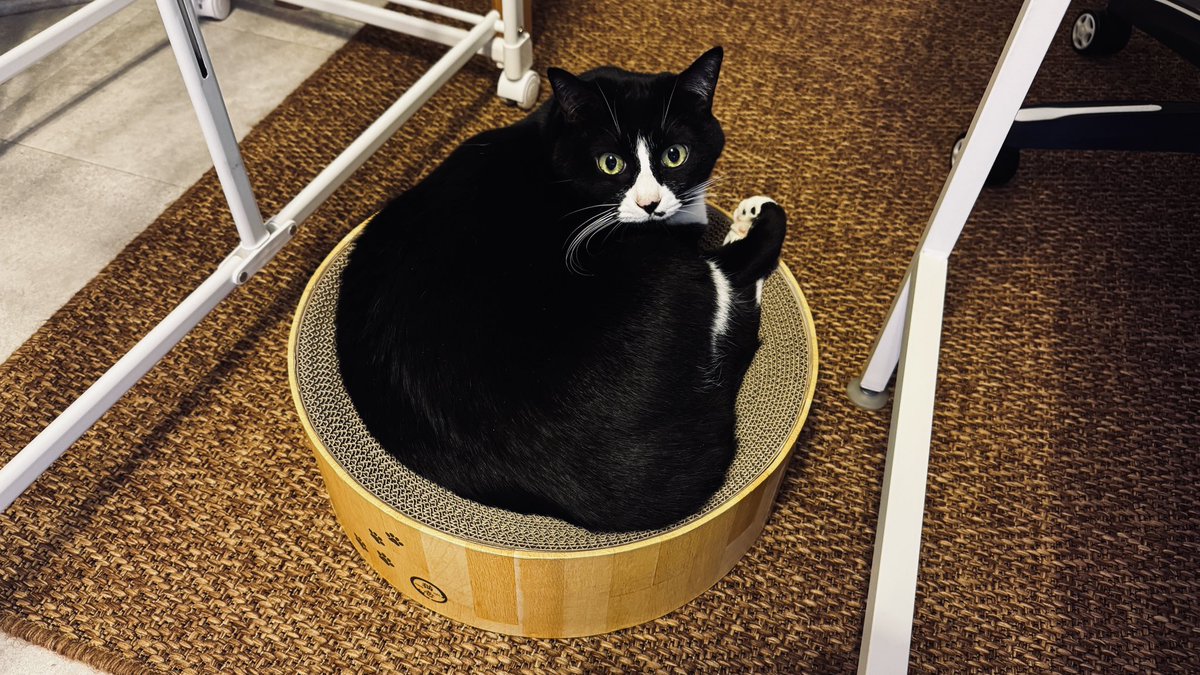 ちーさま⭐︎専用ページ プリパラアニカフェ