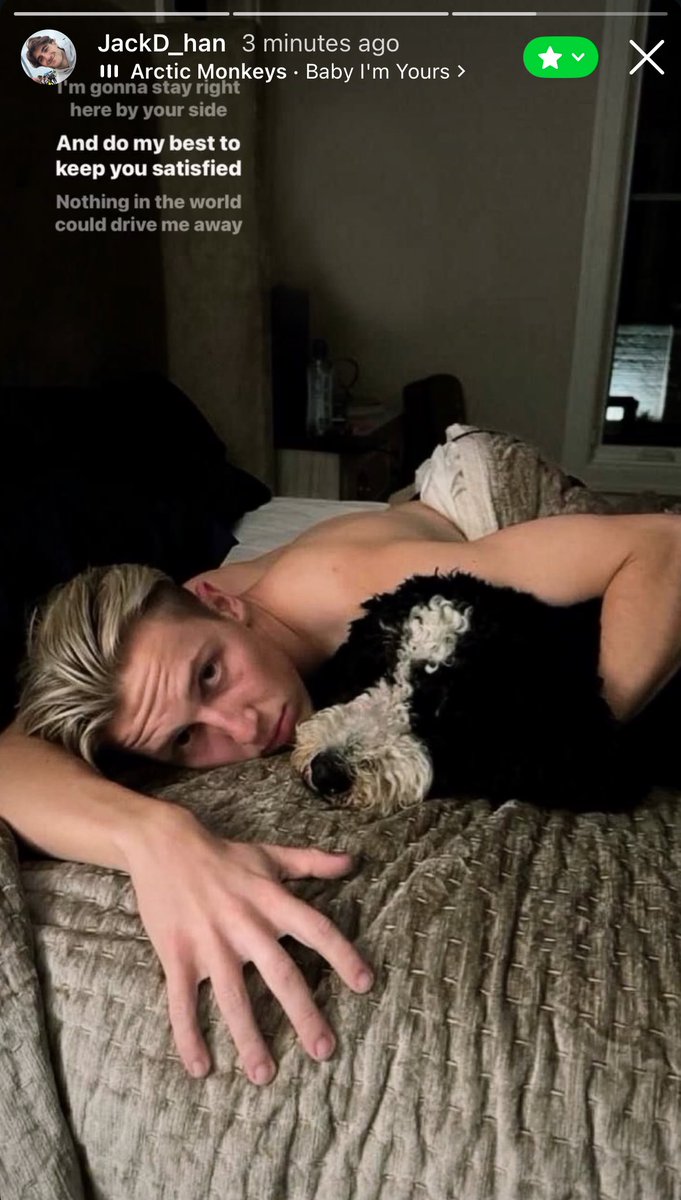 Nika🍁にか tweet media