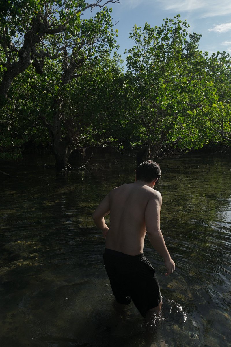 kennnnito's tweet image. hapee new yer!!