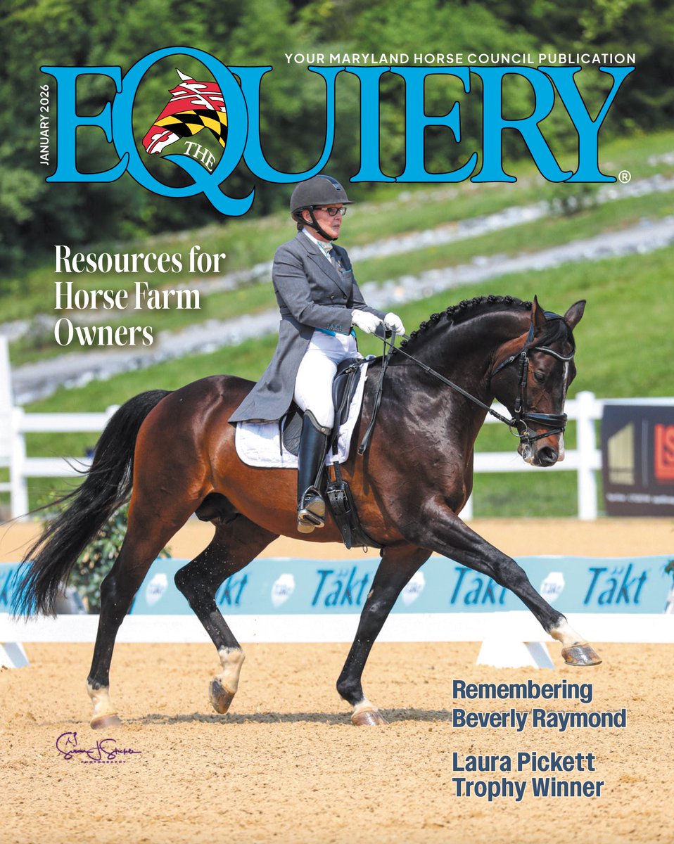 The Equiery tweet media