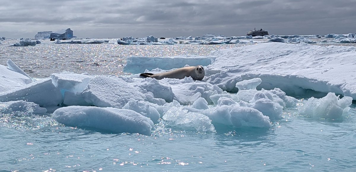 John Roberts tweet media