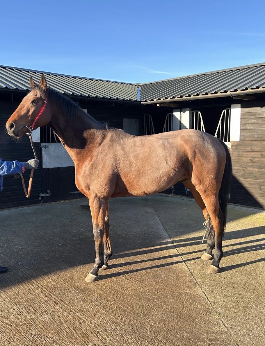 Martyn MacLeod tweet media