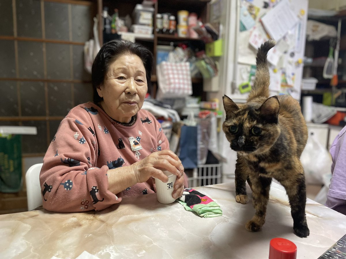 にゃんこ様♡ありがとうございます♡ Reel by にゃんこちん (@nekochan1988123) · December 19, 2025