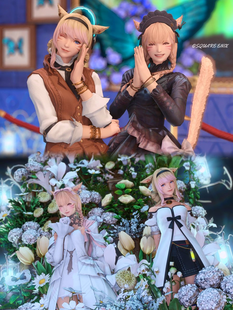 ℂʰⁱᶠᶠᵒⁿ🐾ᴹᵒᶠᵘᵐᵒᶠᵘ (@mofumofuchan032) / Posts / X