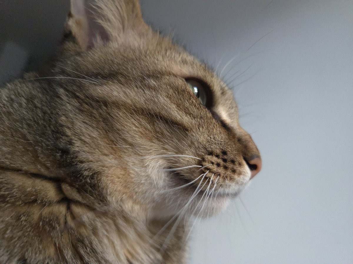 vASAMATIv's tweet image. おやすみ
よいお年を