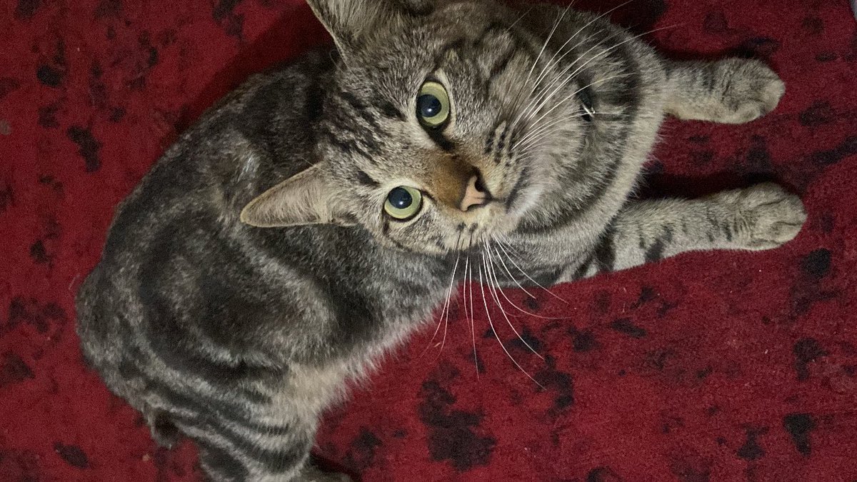 tahun baruan bersama buluku 🥸🩷