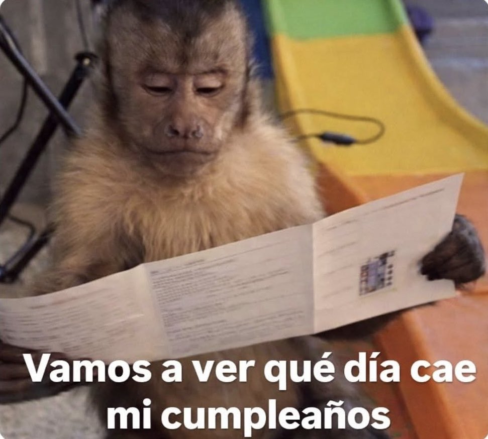 corridosybandas's tweet photo. Yo viendo el calendario del 2026 https://t.co/s5AUTwe5o7