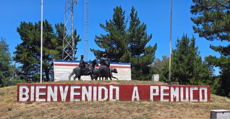 Programa oficial de la Final Nacional de Exposiciones y Funcionalidad #Caballoyrodeo tinyurl.com/yc26w7dz