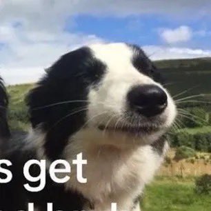 gamerman tweet media