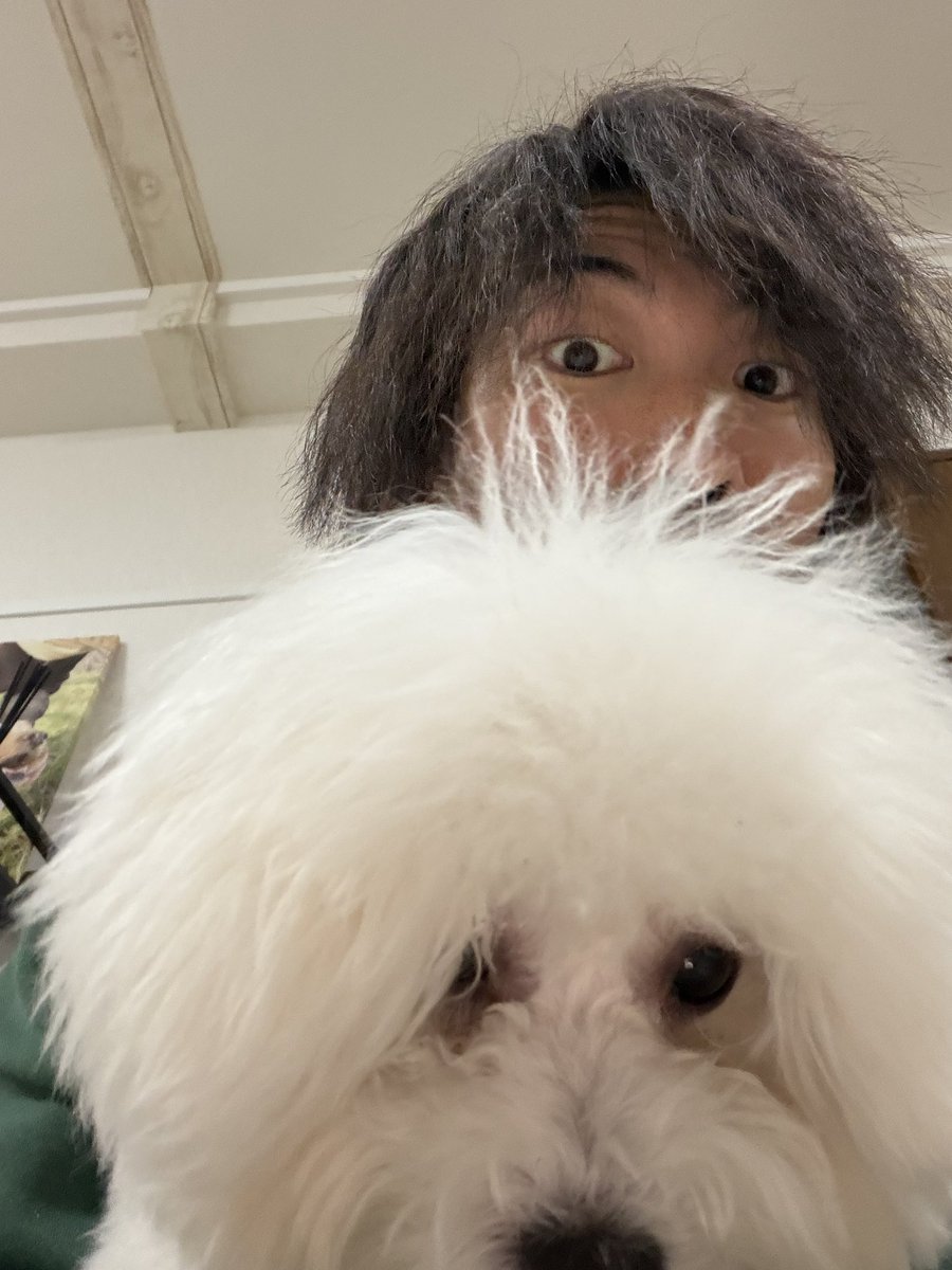 ざわっちだったよ (@zawazawa0317) / Posts / X