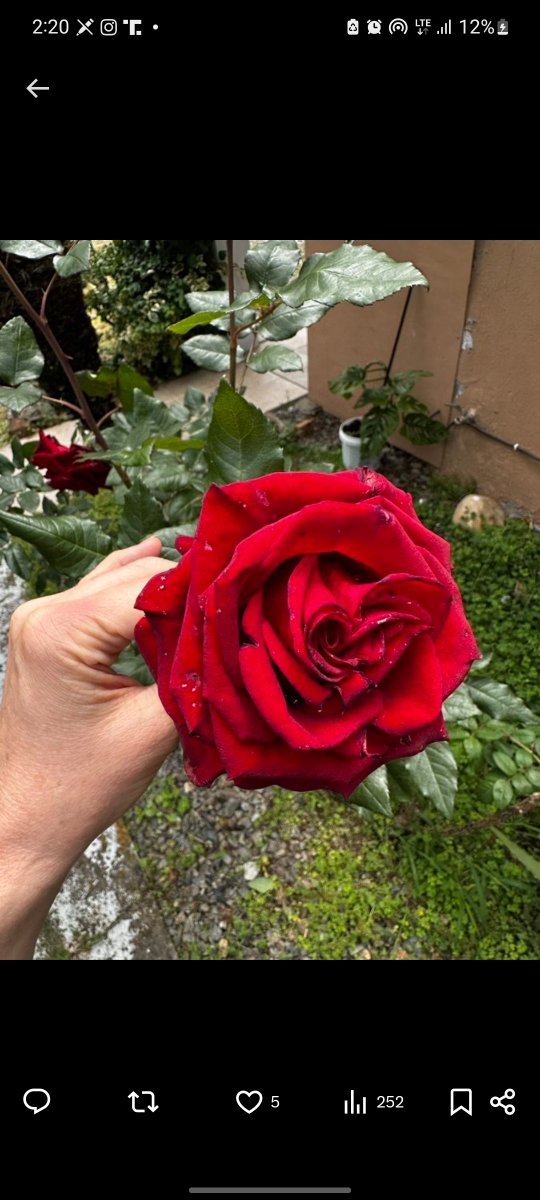 Sweet and sour sauces

They follow back 
Follow and repost ❤️🚀🚀

<a href="/4thOfJuly365/">Mr. Star Spangled MAGA</a>
<a href="/GinaJardines/">Cleopatra</a>
@LEA_Dhai 
<a href="/CaessyM/">💙🇺🇸💙🇩🇪💙CaessyAndAmanda💙🇬🇧💙🇧🇻💙🦅♱✡️</a>
<a href="/ravibhushan99/">Ravi singh</a> 
<a href="/Bopper987/">BigBopper</a>
<a href="/Alexander_Q777/">Alexander West Q777</a>
@real_monica_an 
<a href="/OLM1788360/">OldMonkey2</a>
<a href="/ralphdude69/">Ralph</a>
<a href="/gecffmn/">Papageorgio</a>
<a href="/scotthow5231/">Scooter</a>
<a href="/nicoletamb1224/">Nicole ♥️🤍💙</a>
@Kingfula_evans
<a href="/santosh55874303/">Er S K SINGH</a>