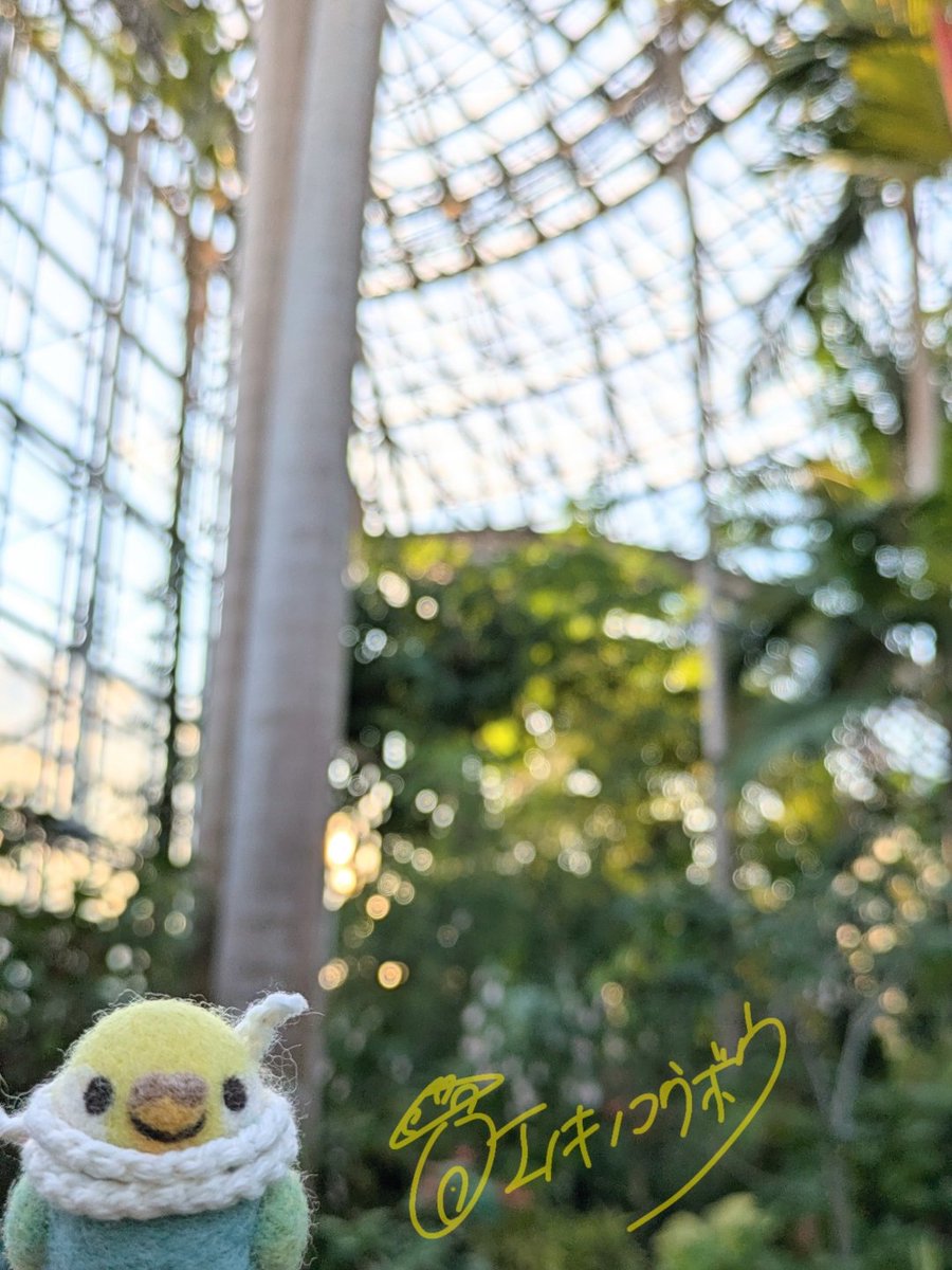 今年は一年通してたくさんのイベントに参加させていただきました。関係者の皆様には大変お世話になりありがとうございました。
また作家さんとお話しできる機会もあり楽しかったです。本当にありがとうございました！
皆様、よいお年をお迎えくださいませ✨
↓パールさんとお出かけした時の写真です。