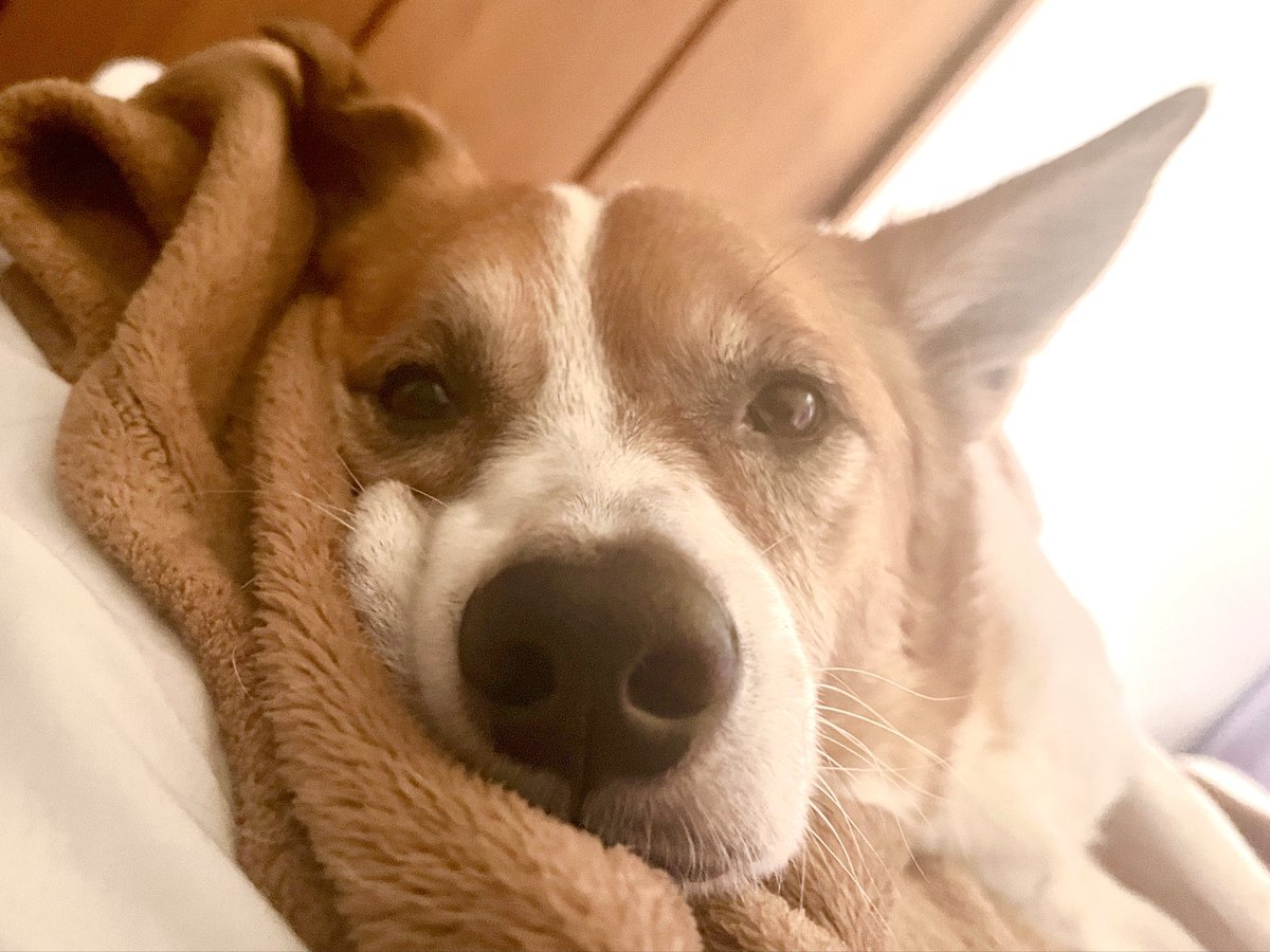 ユズ🍊💙 (@yuzu_games1225) / Posts / X