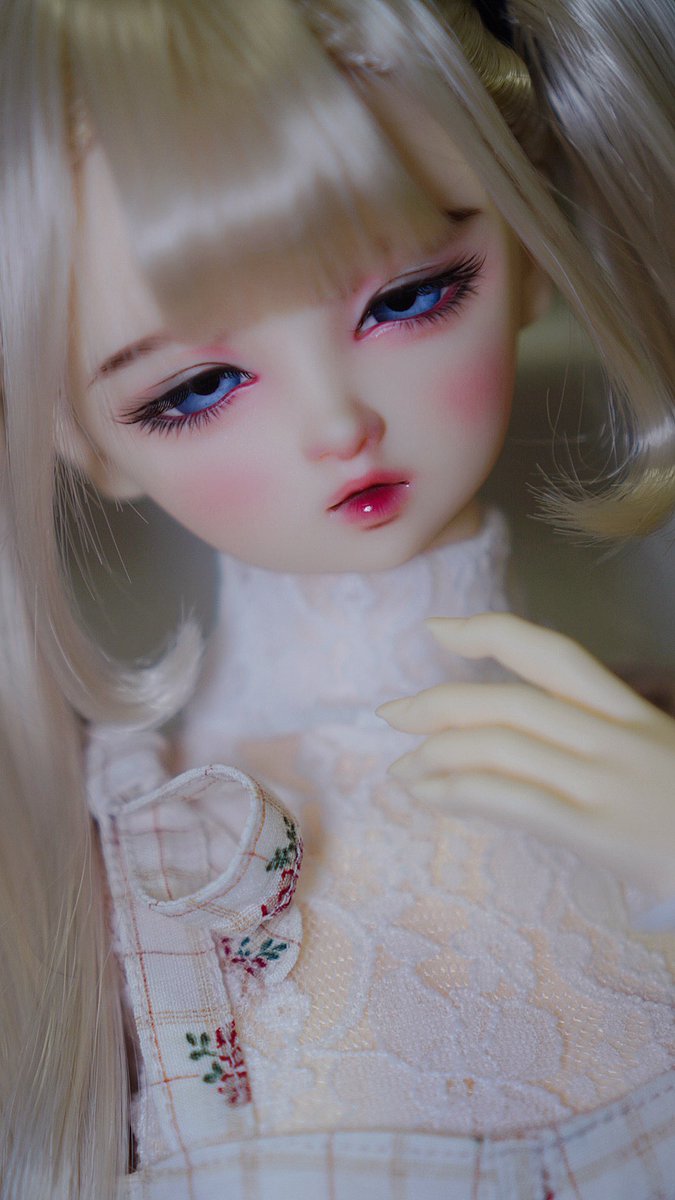 루시Lucy냥 tweet media