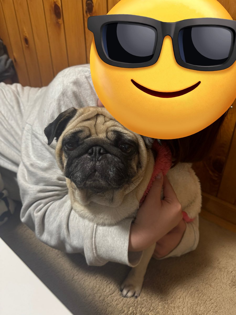 うめちゃん日記 (@Umechanpag) / Posts / X