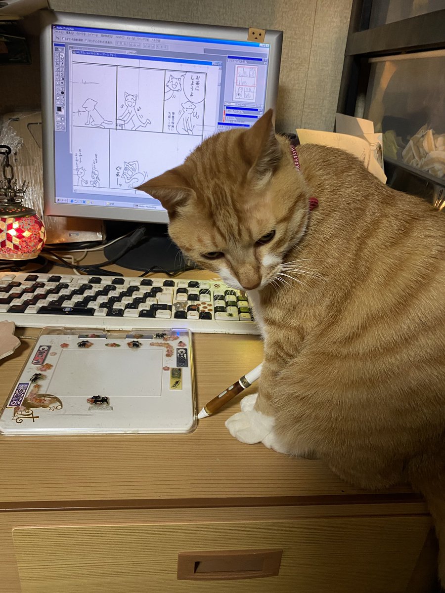 今年も可愛かったね。らいねんもかわいいでよろしくね。