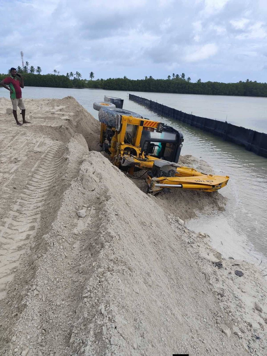 We are wrapping up 2025 under a disastrous environmental shadow, as our leaders continue reclaiming and dredging our precious natural habitats without regard for the future. Yet, in the spirit of hope and resilience, we wish all environmental lovers a very Happy New Year.