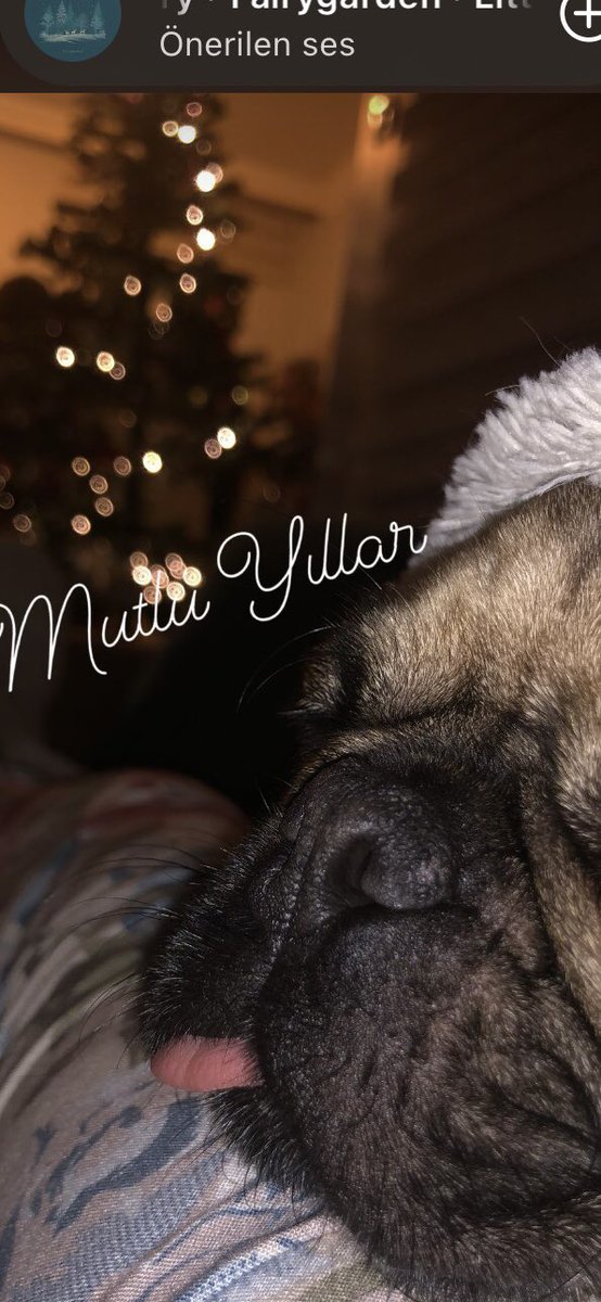 Ben şimdiden uyuyom bişey diyormuş mu😂
