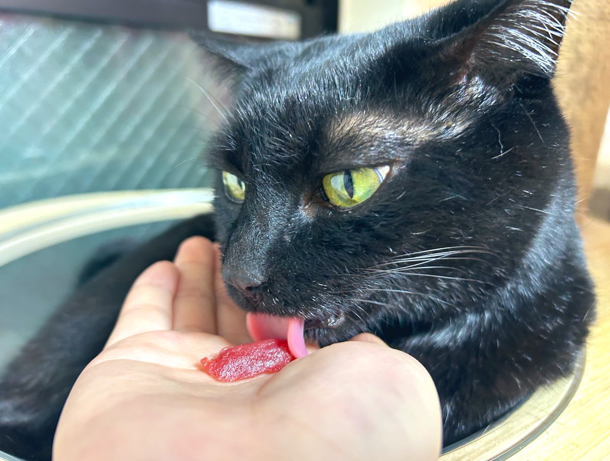 きのこのこのこ きのこのこ | WORKS | 【公式】ザ・キャビンカンパニー公式サイト