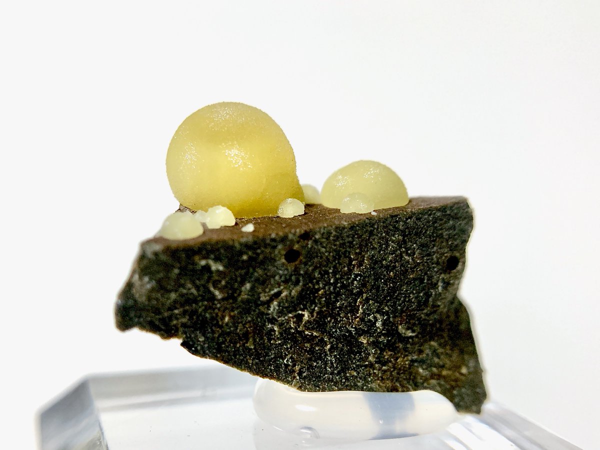 カズホ(しばらく低浮上) (@kxhmkmi) / Posts / X