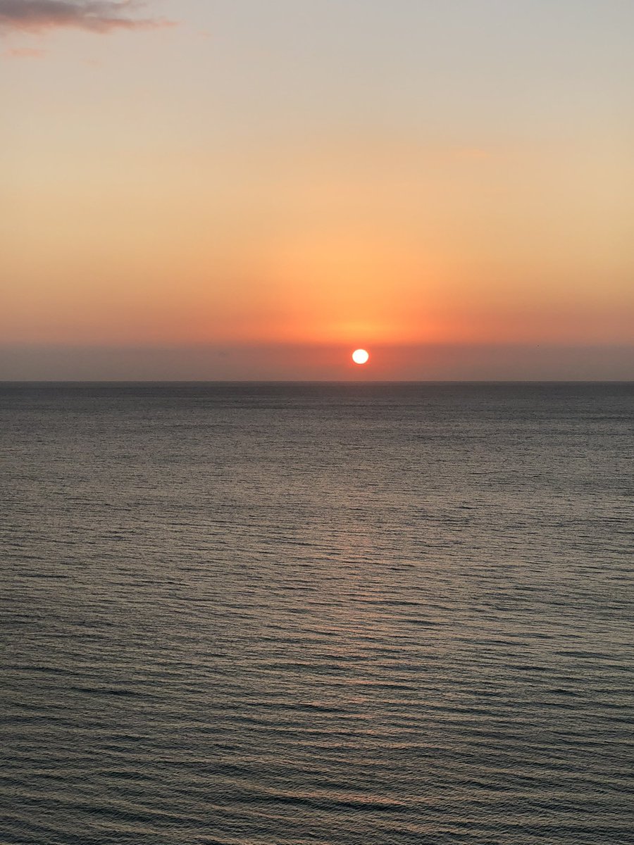 José María🇺🇸 Life is do or die 🇺🇸 tweet media