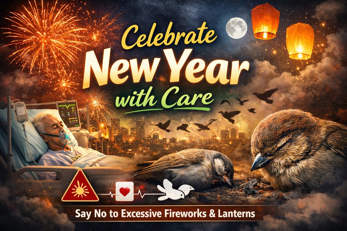 davidwarner3890's tweet photo. Happy New Year 🎉
Excessive fireworks and sky lanterns cause serious harm to sick people, animals, and birds.
Let’s celebrate responsibly and choose kindness over noise. 🌱🕊️
#HappyNewYear #SayNoToFireworks #ProtectBirds https://t.co/7ETxuvNU3g