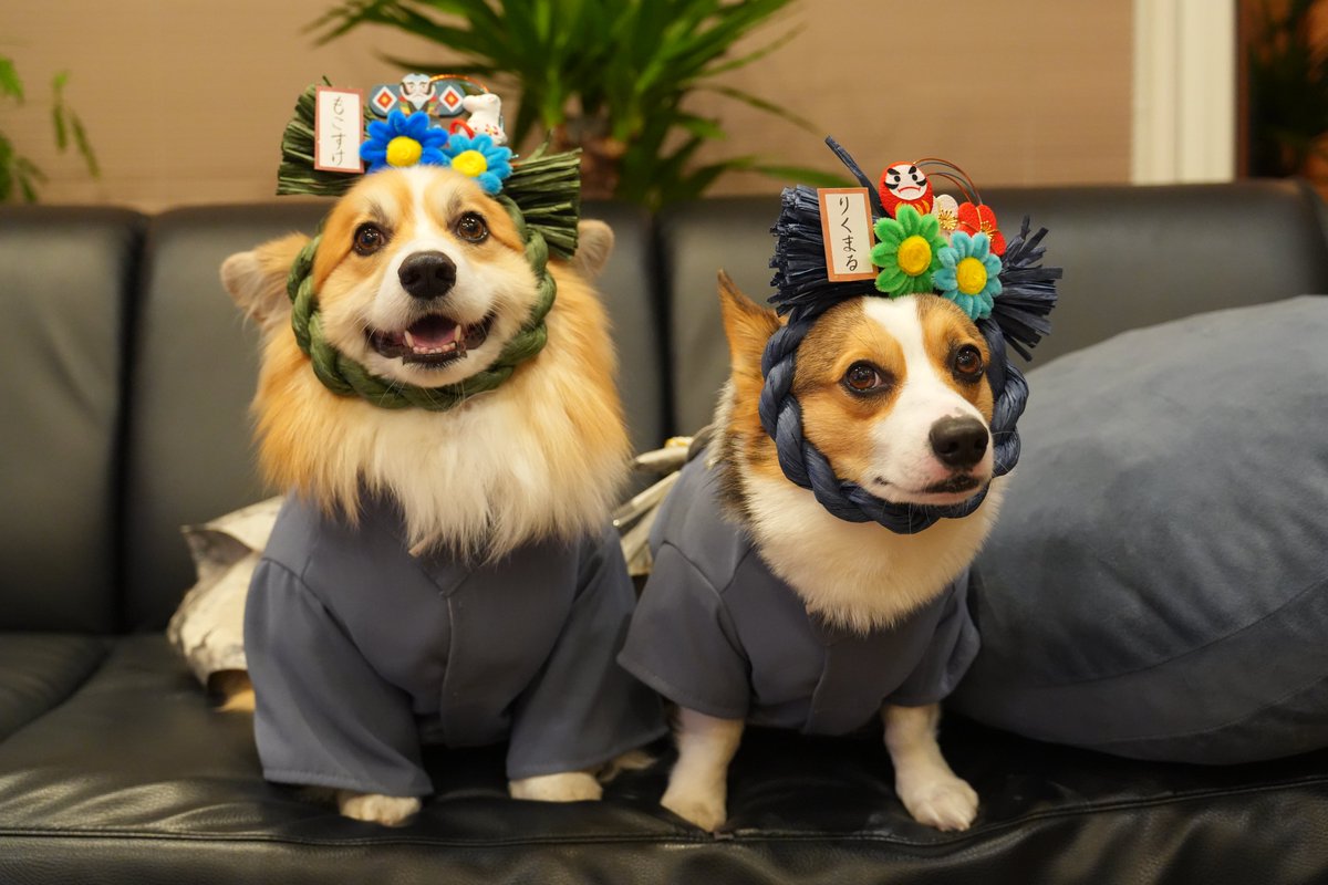 Moco（感謝） セール】+phenix(プラスフェニックス)FUSED FLAP JACKET フューズド