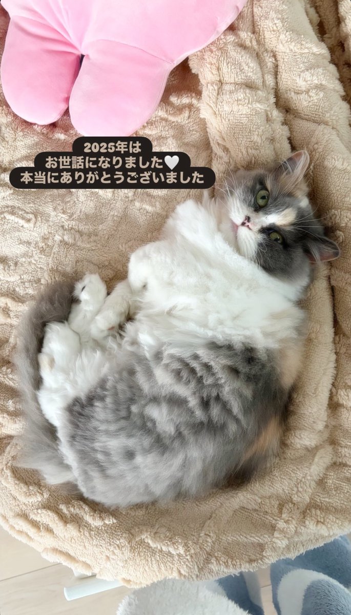 ♡確認用♡佐武宇綺写真 佐武 ʚ♡ɞ 宇綺 uki (9nine) (@9nineuki) • Instagram photos and videos